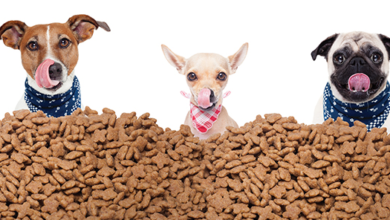 global pet food market