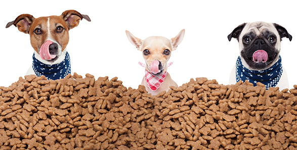 global pet food market