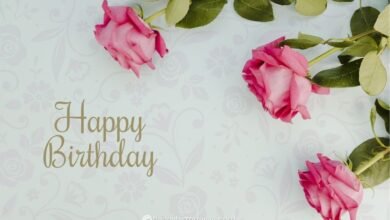 Beautiful:22rreabcyi4= Flower:06ksjrntvpo= Happy Birthday