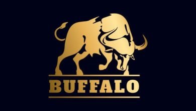 Logo:1gnfe83qxfk= Buffalo