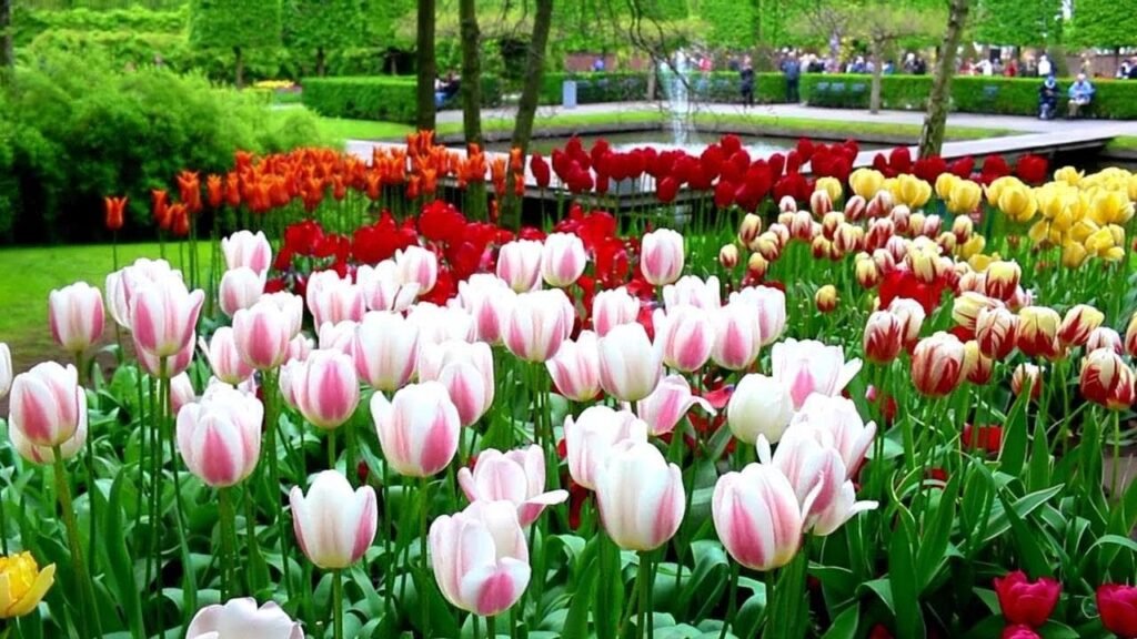 Beautiful:31mpv9buvwi= Flower Garden