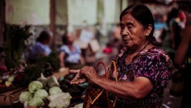 adit bsl bal 16jm2v2