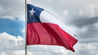 chile s national symbol explained