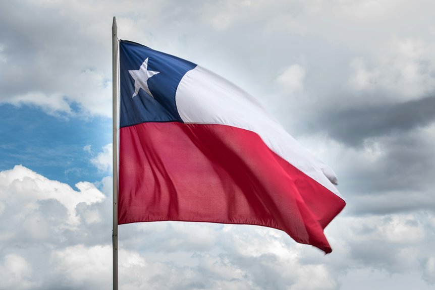 chile s national symbol explained