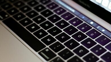 data identifier quan_bfsi_dir_s3bv6y