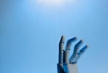 digital betting transformation unleashed