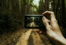 digital transformation journey revealed