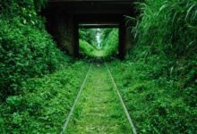 gateway to hidden secrets