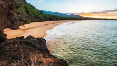 large mahi manu fish