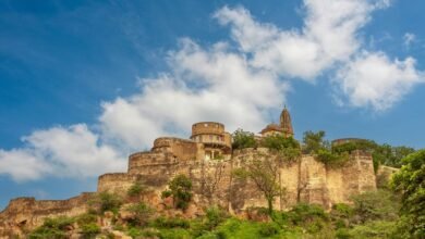 mutf in moti oswa elss