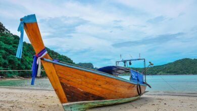 mutual fund investment strategy