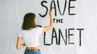 new world future vision