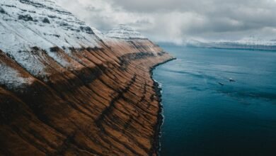 top rib boat reviews 2025