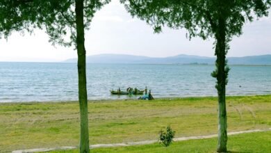 top rib boats reviewed