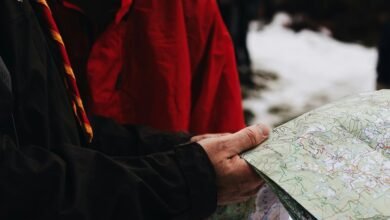 using vsco search effectively