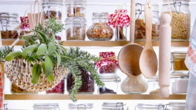 Plant-Based Meals