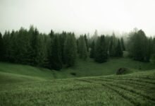 silence amplifies in darkness