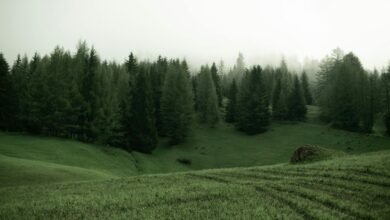 silence amplifies in darkness