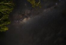 static created by 9592050436