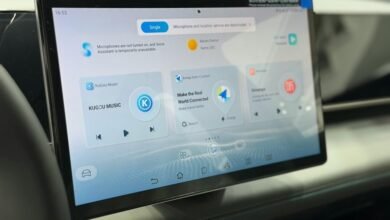 identifier control summary report